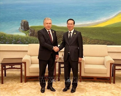 Presidente de Vietnam se reúne con homólogo de Uzbekistán - ảnh 1