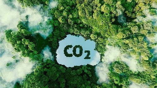 Vietnam recibe 51,5 millones de dólares del BM por reducir emisiones de carbono - ảnh 1