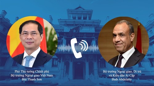 Vietnam y Egipto fortalecen cooperación multifacética - ảnh 1