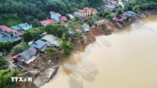 Canadá ofrece asistencia humanitaria a Vietnam para superar consecuencias de desastre natural - ảnh 1