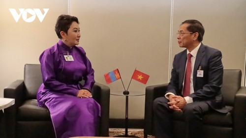 Mongolia busca fortalecer la cooperación multifacética con Vietnam - ảnh 1