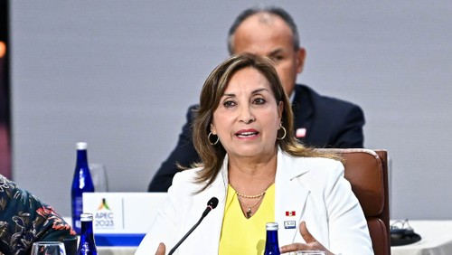 Presidenta de Perú pide al Congreso aprobar la ley que tipifica el terrorismo urbano - ảnh 1