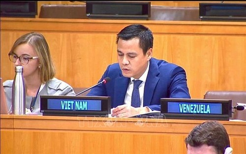 Diplomático vietnamita destaca la promoción y protección de los derechos humanos   - ảnh 1