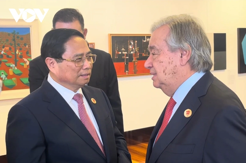 Primer Ministro de Vietnam se reúne con líderes de países y organizaciones internacionales - ảnh 2