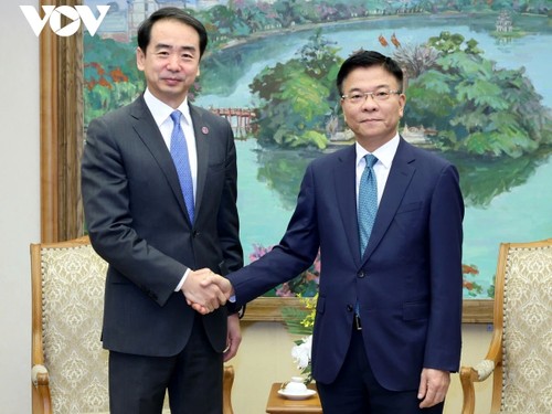 Viceprimer ministro de Vietnam recibe al embajador chino - ảnh 1