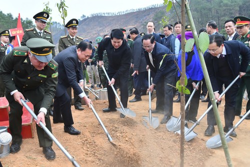 El Presidente de Vietnam participa en el Festival de Plantación de Árboles en Lang Son  - ảnh 1