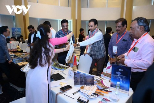 Da Nang promociona el turismo en ciudad india - ảnh 1