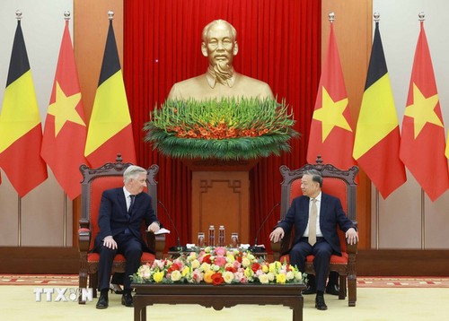 Máximo líder político de Vietnam recibe al Rey de Bélgica  - ảnh 1