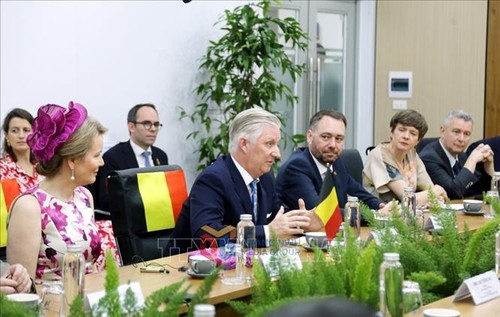 El Rey Felipe de Bélgica visita y trabaja en Quang Ninh - ảnh 1