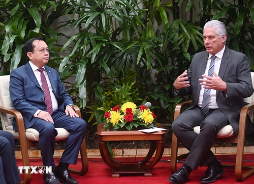 Vietnam concede gran importancia a las relaciones especiales con Cuba - ảnh 1