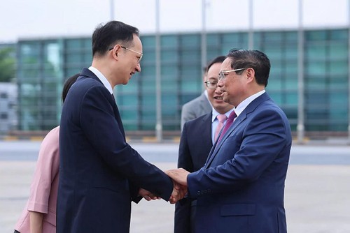 Académico chino: “Vietnam aporta significativamente al Foro Económico Mundial en Tianjin” - ảnh 1