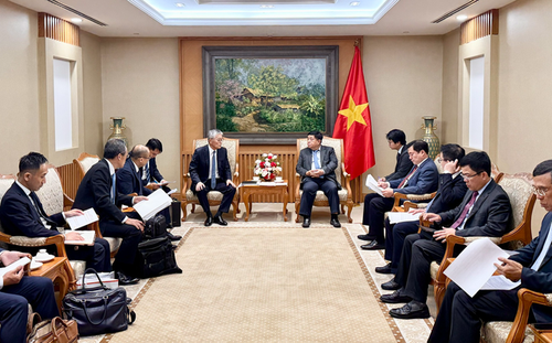 Vietnam da la bienvenida a inversiones japonesas en energía de biomasa - ảnh 1