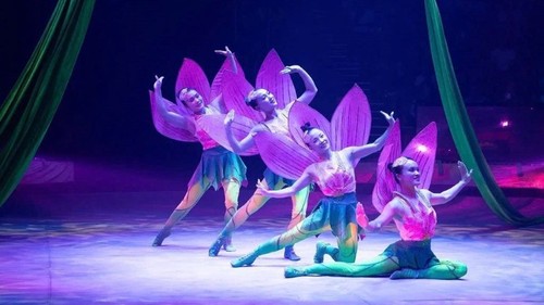 El circo vietnamita gana importantes premios internacionales - ảnh 1