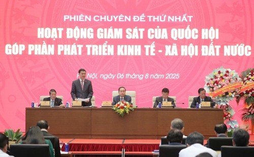 Presidente del Parlamento de Vietnam pide renovar labor de supervisión para impulsar el desarrollo nacional - ảnh 1