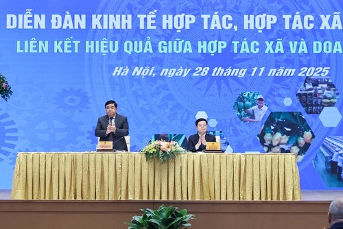 Foro de Economía Cooperativa en Vietnam: potenciar la vinculación entre cooperativas y empresas - ảnh 1