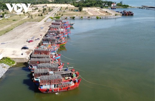 Localidad vietnamita desarrolla softwares para recordar deberes a pescadores - ảnh 1