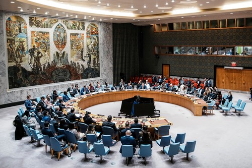 Somalia asume la presidencia del Consejo de Seguridad de la ONU - ảnh 1