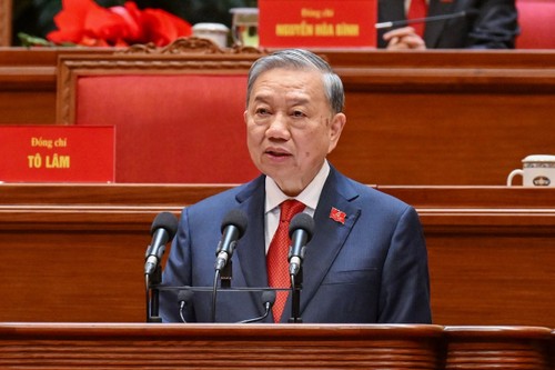 El XIV Congreso del Partido Comunista de Vietnam concluye con éxito y marca un nuevo hito histórico - ảnh 1