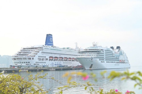 Llegan a Vietnam los primeros cruceros internacionales en el Año del Caballo - ảnh 1