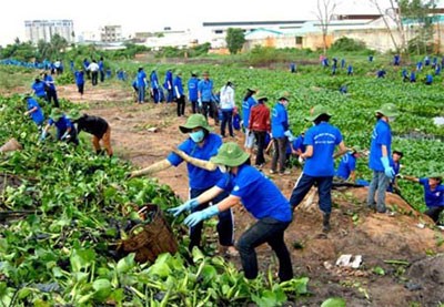 เยาวชนสำนักงานส่วนกลางร่วมแรงร่วมใจสร้างสรรค์ชนบทใหม่และปฏิบัติงานตอบแทนบุญคุณ - ảnh 1