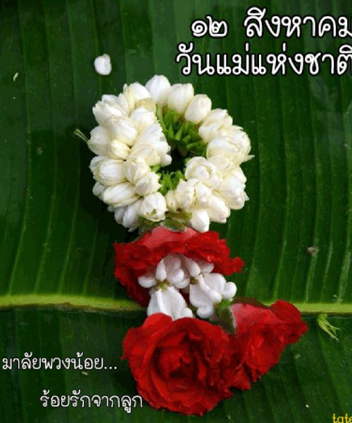 จดหมายจากท่าน Attapon "สวัสดิเดือนใหม่สิงหาคม" - ảnh 3