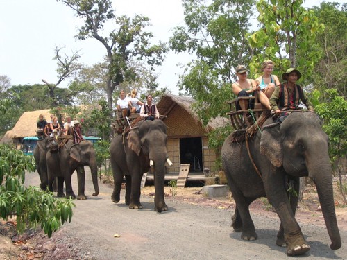 มาเยือนหมู่บ้าน บวนโดน - ảnh 1