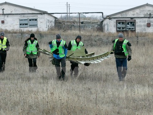 เบลเยี่ยมเรียกร้องให้จัดตั้งศาลอาญาสืบสวนเหตุเครื่องบิน MH17 ตก - ảnh 1