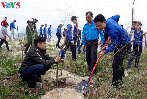 ท้องถิ่นต่างๆเปิดกระบวนการ “ตรุษเต๊ตปลูกต้นไม้ 2018” เพื่ออนุรักษ์สิ่งแวดล้อม - ảnh 1