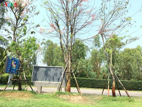 อนุสรณ์สถานบ้านดงโฮจิมินห์ จังหวัดพิจิตร - ảnh 2