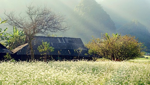 สถานที่ท่องเที่ยวที่น่าสนใจในภาคเหนือสำหรับนักท่องเที่ยวในช่วงวันหยุดในโอกาสฉลองปีใหม่สากล 2020 - ảnh 7