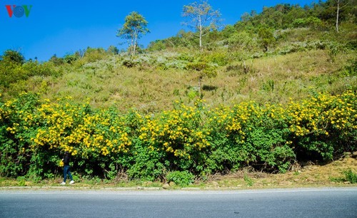 จุดตะวันตกสุด อาปาฉาย ไก่ขันได้ยินสามประเทศ เวียดนาม ลาว จีน - ảnh 2