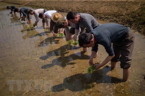 ผู้รายงานพิเศษของสหประชาชาติเร่งรัดให้พิจารณาคำสั่งคว่ำบาตรสาธารณรัฐประชาธิปไตยประชาชนเกาหลีอีกครั้ง - ảnh 1