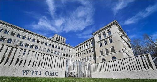 WTO ปฏิรูปองค์กรให้เหมาะสมกับสถานการณ์ใหม่  - ảnh 1