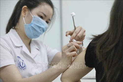 ทดสอดวัคซีน Nano Covax ระยะที่ 3 ในอาสมัครกว่า 240 คน - ảnh 1