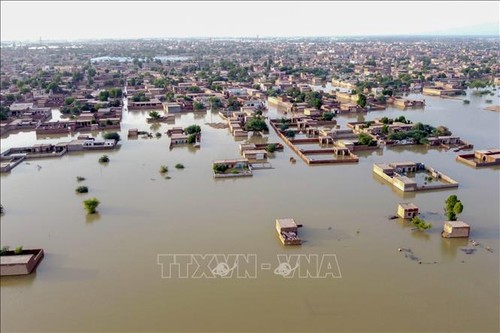 ประธานสภาแห่งชาติ เวืองดิ่งเหวะ ส่งจดหมายไต่ถามสถานการณ์พายุน้ำท่วมในปากีสถาน - ảnh 1