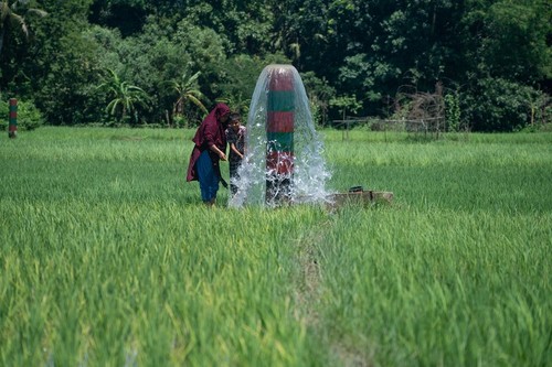 เอเชีย-แปซิฟิกได้รับเงินสนับสนุนกว่า 2 หมื่นล้านดอลลาร์สหรัฐจาก ADB เพื่อฟื้นฟูหลังวิกฤตโควิด-19 - ảnh 1