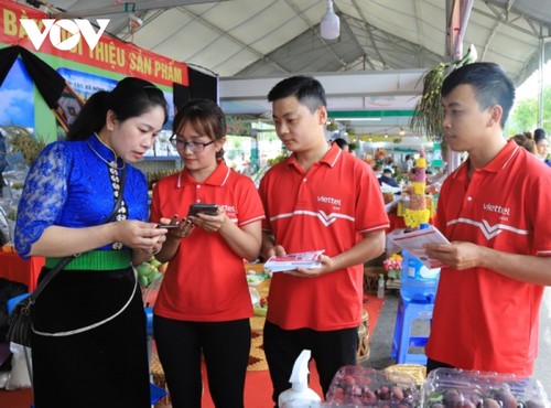 เซินลามุ่งมั่นนำผลิตภัณฑ์การเกษตรจำหน่ายผ่านแพลตฟอร์มดิจิทัล - ảnh 1