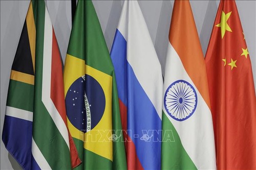 BRICS สร้างสกุลเงินร่วม - ảnh 1