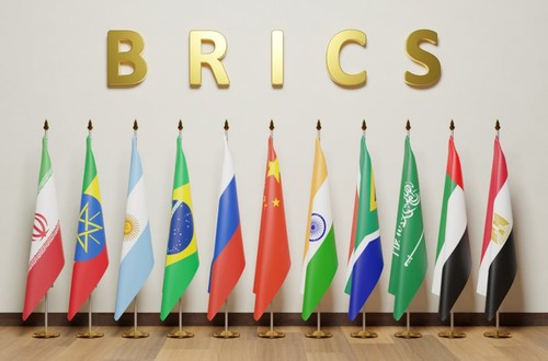 กลุ่มประเทศ GCC กระชับความร่วมมือกับ BRICS - ảnh 1