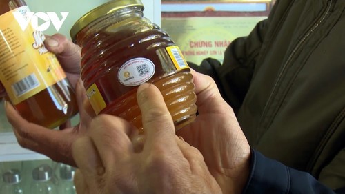 เกษตรกรตำบลฝงล้าย จังหวัดเซินลา สร้างเนื้อสร้างตัวจากการเลี้ยงผึ้งตามห่วงโซ่การเชื่อมโยง - ảnh 2