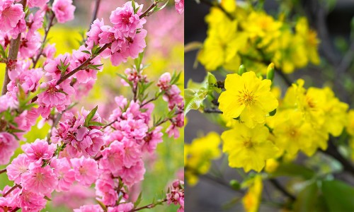 ตอบจดหมายคุณผู้ฟังวันที่  15 กุมภาพันธ์ - ảnh 1