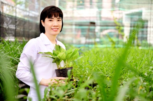 นักวิทยาศาสตร์ด้านเภสัชเวทเวียดนามได้รับรางวัล Asian Innovation - ảnh 1