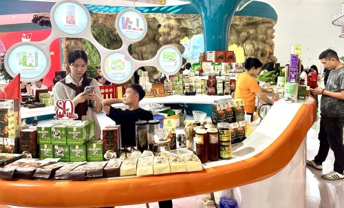 “วันศิลปะและวัฒนธรรมนานาชาติในกรุงฮานอย” จะถูกจัดขึ้นในเดือนตุลาคมทุก 2 ปี - ảnh 1