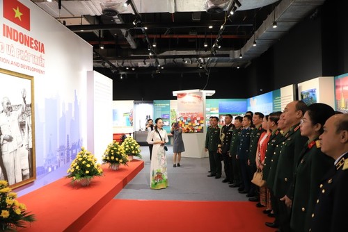 ไฮไลท์นิทรรศการ “เวียดนาม-อินโดนีเซีย 70 ปีแห่งความร่วมมือและการพัฒนา” - ảnh 2