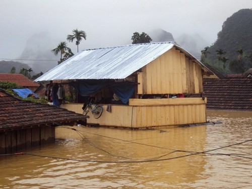 Danish architect exhibits Vietnamese floating houses - ảnh 1