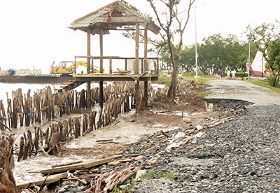 World Environment Day 2014 observed in Vietnam - ảnh 2