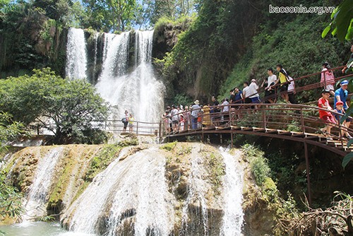 Moc Chau plateau in Vietnam’s northwestern region - ảnh 2