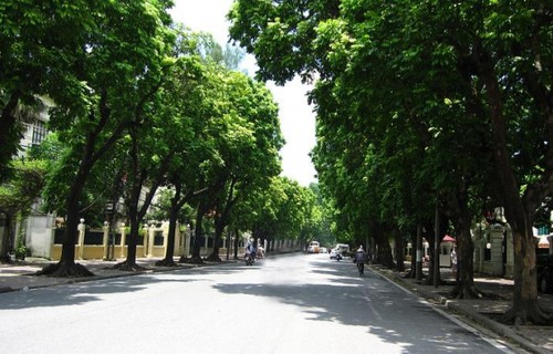 Dracontomelons and lotus – summer specialties in Hanoi - ảnh 2