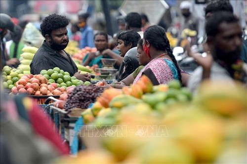 IMF forecasts divergent economic growth between rich and developing nations - ảnh 1