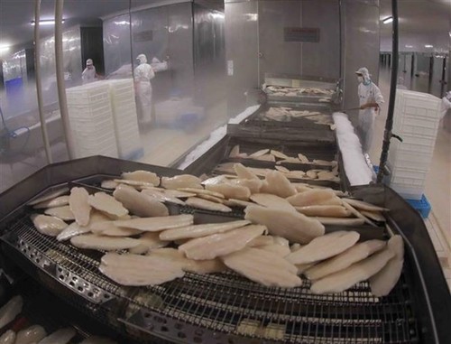 Another Vietnamese pangasius exporter to US enjoys zero tariff - ảnh 1